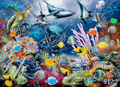 Colorful Marine Jigsaw Puzzles 1000 Piece