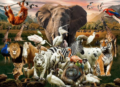 Animal Jigsaw Puzzles 1000 Piece