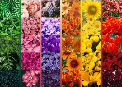 Flower Grid Jigsaw Puzzles 1000 Piece