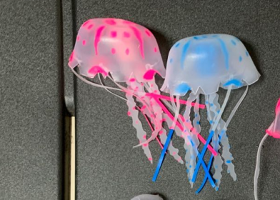 Jellyfish (Option: Small-Q2pc)