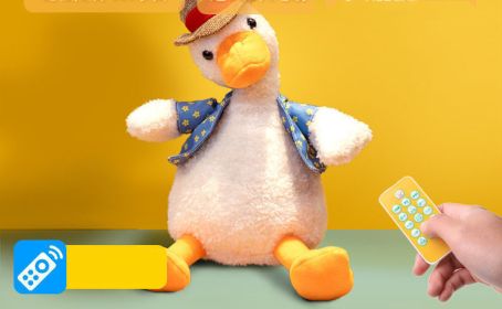 Plush Toy Figurine Sand Sculpture Learn To Speak Can Sing Sand Sculpture Duck (Option: 6Style)